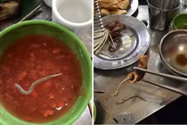 Rùng mình nội tạng bẩn hô biến thơm lừng lên bàn nhậu