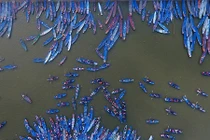 Ảnh: Những khoảnh khắc ấn tượng chùa Hương ngày khai hội