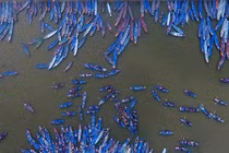 Ảnh: Những khoảnh khắc ấn tượng chùa Hương ngày khai hội