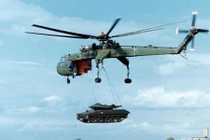 Khám phá các siêu "ngựa thồ" quái dị nhất hành tinh