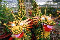 Ngỡ ngàng cây kiểng Tết hình thú độc lạ hốt bạc