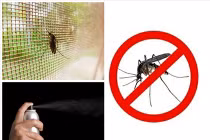 Cửa lưới có phải cách phòng muỗi hiệu quả?