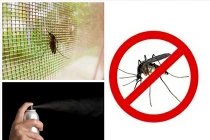 Cửa lưới có phải cách phòng muỗi hiệu quả?