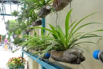 Ngỡ ngàng loạt vườn hoa mọc lên từ bãi rác ở Hà Nội