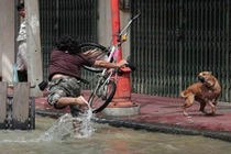 Choáng váng với muôn kiểu đi đường của "thánh lầy” Việt Nam