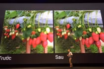 Vừa ra mắt, “hàng nóng” Bphone đã dính nghi vấn