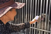 Bi hài chuyện bắt chó không rọ mõm gây sốt mạng