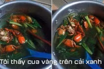 Tên gọi mỹ miều của loạt món ăn thảm họa chồng nấu