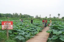 “Xẻ thịt” bãi đá sông Hồng: “Quan” phường giãi bày... khó hiểu quá!