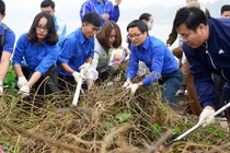 Ảnh Phó thủ tướng Vũ Đức Đam cùng sinh viên dọn rác