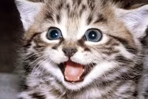 Những tình huống phát hiện ung thư có 1-0-2 