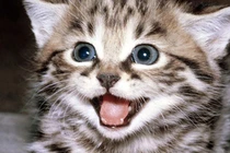 Những tình huống phát hiện ung thư có 1-0-2 