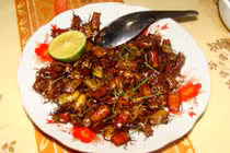 Đặc sản kỳ quặc ở Mường La: Ăn một lần nhớ mãi mãi