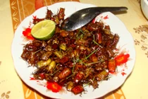 Đặc sản kỳ quặc ở Mường La: Ăn một lần nhớ mãi mãi