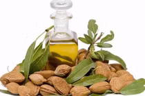 Bí quyết giúp mi dày và đẹp