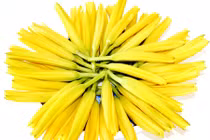 10 loại rau củ quả tuyệt đối không nên ăn cả vỏ