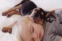 Ngộ nghĩnh hình ảnh bé yêu và thú cưng