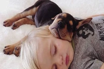 Ngộ nghĩnh hình ảnh bé yêu và thú cưng