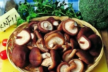 7 giá trị dinh dưỡng tuyệt vời của nấm