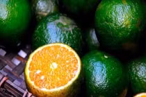 Cách nhận biết cam Hà Giang và cam Trung Quốc