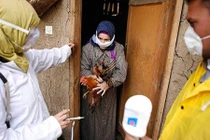 Người thứ 10 tử vong vì cúm gia cầm H5N1