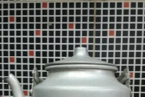 Bài thuốc chữa viêm xoang từ cây giao cực hay cho bé