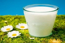 Bé gái tử vong sau khi uống sữa chưa tiệt trùng 