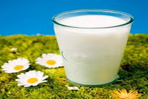 Bé gái tử vong sau khi uống sữa chưa tiệt trùng 