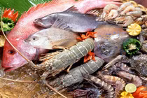 Những lưu ý khi cho trẻ ăn dặm đồ hải sản