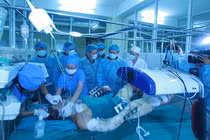 Đại tướng Phùng Quang Thanh: Giúp đỡ thân nhân những người lính hi sinh