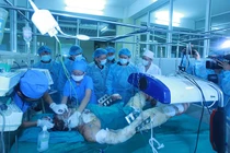 Đại tướng Phùng Quang Thanh: Giúp đỡ thân nhân những người lính hi sinh