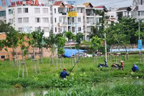 Xem người dân Sài Gòn thể hiện "máu liều" giữa phố