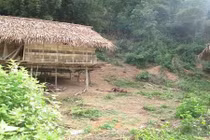 Tập trung điều tra vụ thảm sát 4 người ở Nghệ An