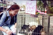 Bà Tưng bất ngờ đổi nghề đi bán chó?