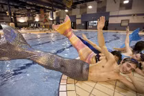 Teen nước ngoài hí hửng học biến thành nàng tiên cá