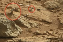 Tìm thấy động vật lạ trên Sao Hỏa?