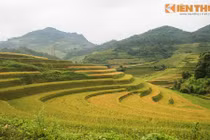 Mù Cang Chải: Cuối tháng 10 vẫn hút hồn dân phượt 