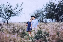 Ảnh cưới mộng mơ giữa đồng hoa tam giác mạch Mộc Châu