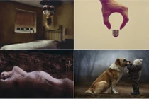 Loạt siêu phẩm gây bão của các nhiếp ảnh gia trẻ (2)