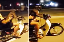 Kẻ cho chó lái xe máy có thể bị phạt 5-7 triệu đồng