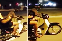 Kẻ cho chó lái xe máy có thể bị phạt 5-7 triệu đồng