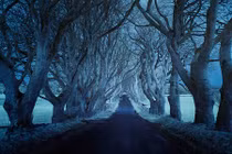 Những con đường cô đơn nhất hành tinh qua ống kính trẻ