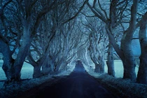 Những con đường cô đơn nhất hành tinh qua ống kính trẻ