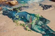 Chân dung "nàng tiên cá" 48kg trong bộ ảnh cưới bị xuyên tạc