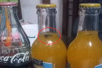 Choáng với vật thể lạ lổm ngổm trong nước cam Coca Cola VN