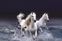  3 tuổi tháng 3 rũ sạch xui, tháng 4 phát lộc, tháng 5 phát tài