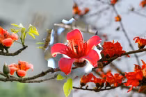 Tháng 4 về, 3 tuổi kinh doanh lãi đậm, 1 tuổi ngồi không mất tiền