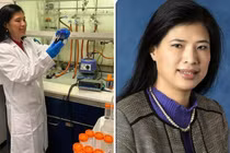 Giáo sư gốc Việt nhận giải thưởng danh giá của Vương quốc Anh