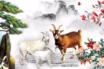 Thần Phật độ trì tháng 8: 4 tuổi cực may, tình tiền đỏ thắm