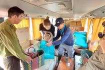 14 động vật quý hiếm được tái thả về rừng